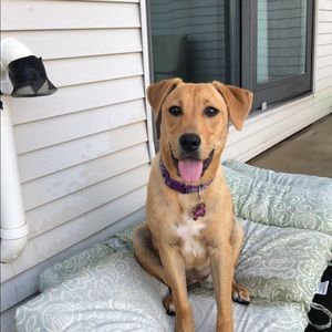 Meet your Posher, Katie